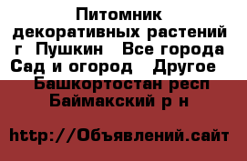 Питомник декоративных растений г. Пушкин - Все города Сад и огород » Другое   . Башкортостан респ.,Баймакский р-н